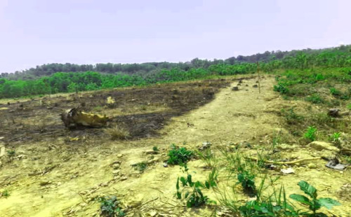 বান্দরবানের লামার আন্ধারী খালের উৎপত্তি স্থলে রাবার ফ্যাক্টরি স্থাপনে পরিবেশ বিপর্যয়ের আশঙ্কা। 