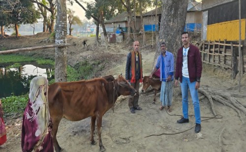 কাপ্তাই থানা পুলিশের সফল অভিযান: চুরি হওয়া ৩টি গরু উদ্ধার, মালিকের জিম্মায় হস্তান্তর 